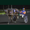 Course 8 27/03/2026 - photos course hippodrome paris vincennes trot