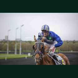 Course 1 03/04/2026 - photos course hippodrome paris vincennes trot