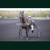 Course 2 03/04/2026 - photos course hippodrome paris vincennes trot