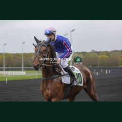 Course 3 03/04/2026 - photos course hippodrome paris vincennes trot