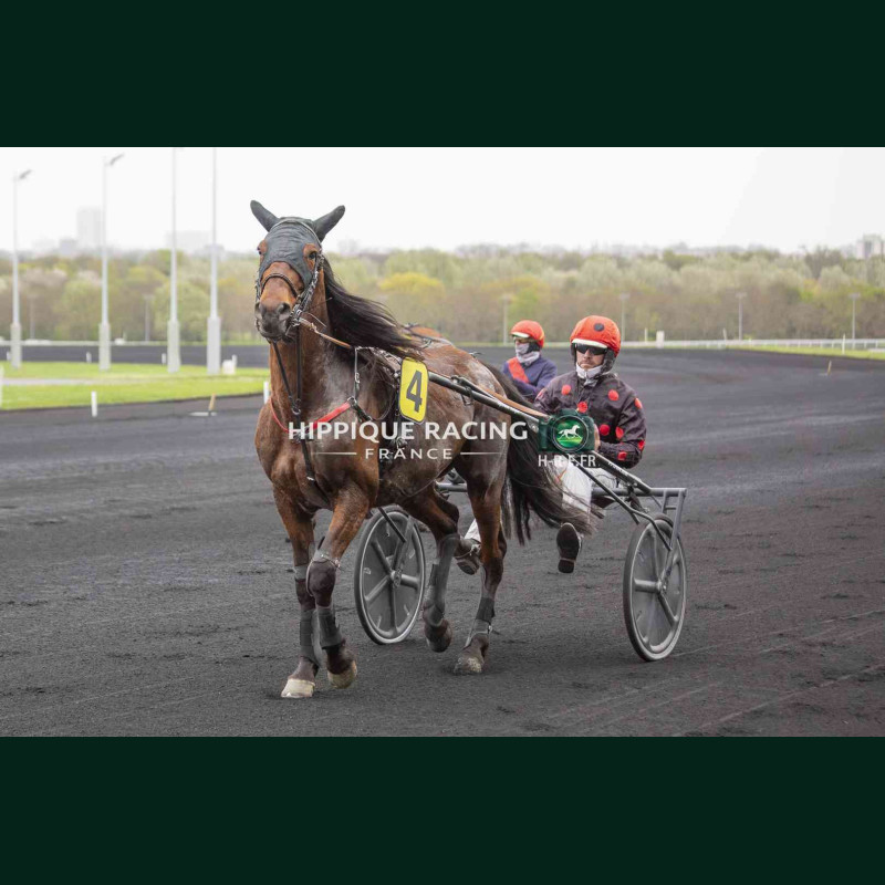 Course 4 03/04/2026 - photos course hippodrome paris vincennes trot