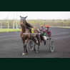 Course 4 03/04/2026 - photos course hippodrome paris vincennes trot