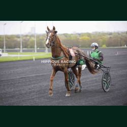 Course 5 03/04/2026 - photos course hippodrome paris vincennes trot