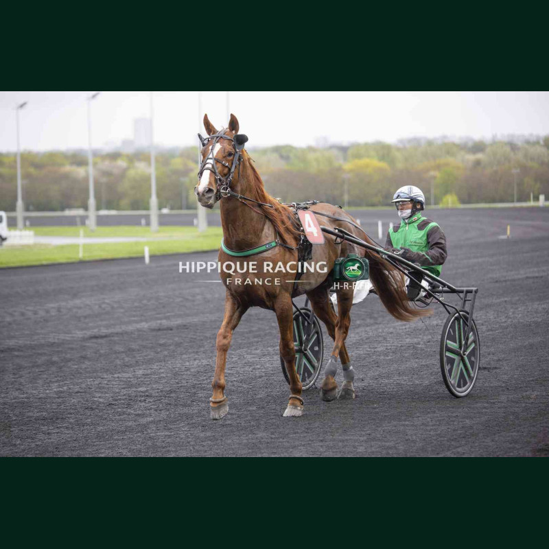 Course 5 03/04/2026 - photos course hippodrome paris vincennes trot