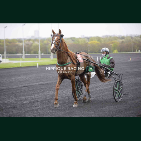 Course 5 03/04/2026 - photos course hippodrome paris vincennes trot