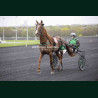 Course 5 03/04/2026 - photos course hippodrome paris vincennes trot