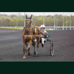 Course 6 03/04/2026 - photos course hippodrome paris vincennes trot