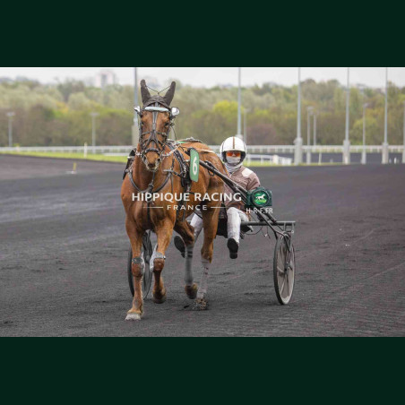 Course 6 03/04/2026 - photos course hippodrome paris vincennes trot