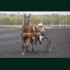 Course 6 03/04/2026 - photos course hippodrome paris vincennes trot