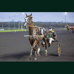Course 8 03/04/2026 - photos course hippodrome paris vincennes trot