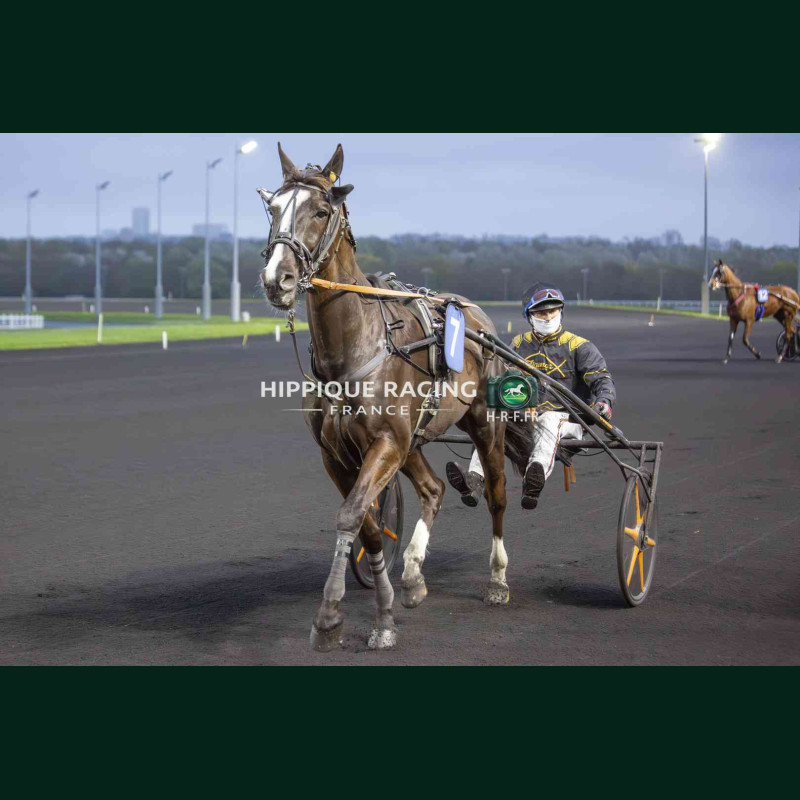 Course 8 03/04/2026 - photos course hippodrome paris vincennes trot