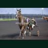 Course 8 03/04/2026 - photos course hippodrome paris vincennes trot