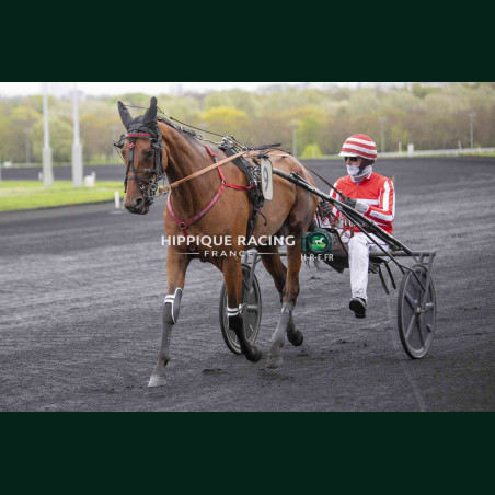 Course 1 04/04/2026 - photos course hippodrome paris vincennes trot