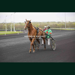 Course 2 04/04/2026 - photos course hippodrome paris vincennes trot