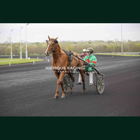 Course 2 04/04/2026 - photos course hippodrome paris vincennes trot
