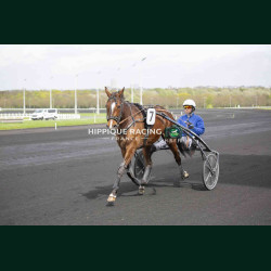 Course 3 04/04/2026 - photos course hippodrome paris vincennes trot