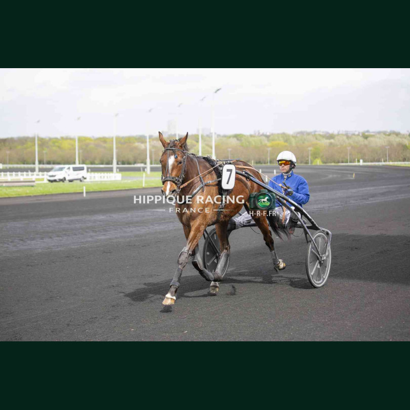 Course 3 04/04/2026 - photos course hippodrome paris vincennes trot