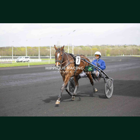 Course 3 04/04/2026 - photos course hippodrome paris vincennes trot