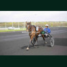 Course 3 04/04/2026 - photos course hippodrome paris vincennes trot