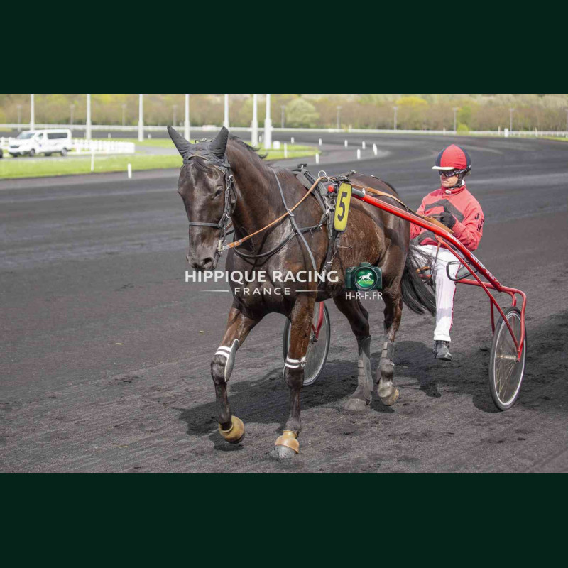 Course 4 04/04/2026 - photos course hippodrome paris vincennes trot