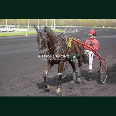 Course 4 04/04/2026 - photos course hippodrome paris vincennes trot