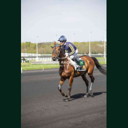 Course 5 04/04/2026 - photos course hippodrome paris vincennes trot