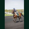 Course 5 04/04/2026 - photos course hippodrome paris vincennes trot