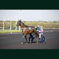 Course 6 04/04/2026 - photos course hippodrome paris vincennes trot