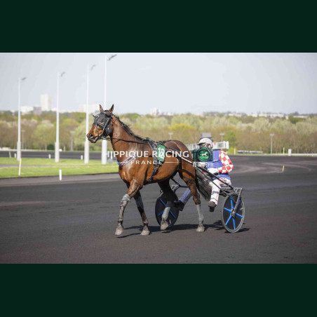 Course 6 04/04/2026 - photos course hippodrome paris vincennes trot
