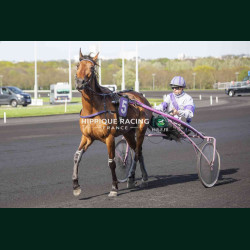 Course 7 04/04/2026 - photos course hippodrome paris vincennes trot