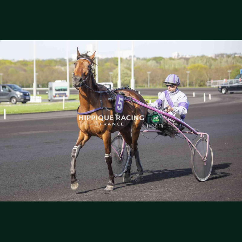 Course 7 04/04/2026 - photos course hippodrome paris vincennes trot