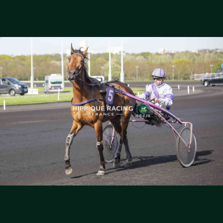 Course 7 04/04/2026 - photos course hippodrome paris vincennes trot