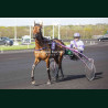 Course 7 04/04/2026 - photos course hippodrome paris vincennes trot