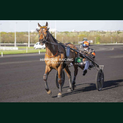 Course 8 04/04/2026 - photos course hippodrome paris vincennes trot