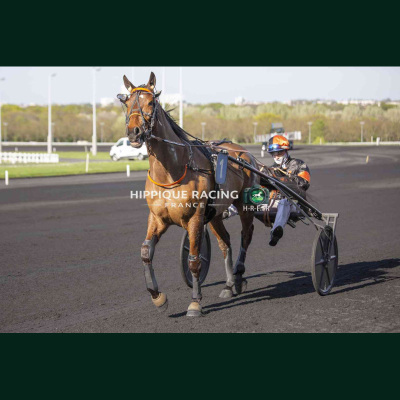 Course 8 04/04/2026 - photos course hippodrome paris vincennes trot