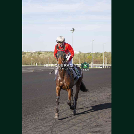 Course 9 04/04/2026 - photos course hippodrome paris vincennes trot