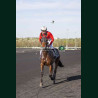 Course 9 04/04/2026 - photos course hippodrome paris vincennes trot