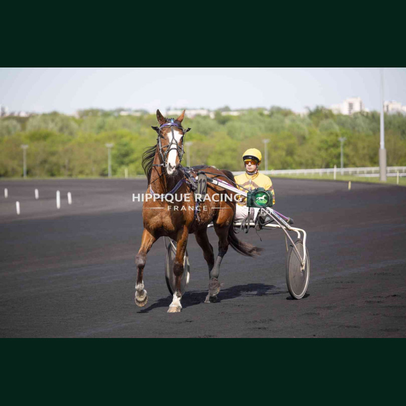 Course 1 14/04/2026 - photos course hippodrome paris vincennes trot