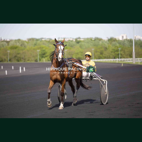 Course 1 14/04/2026 - photos course hippodrome paris vincennes trot