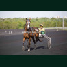 Course 1 14/04/2026 - photos course hippodrome paris vincennes trot