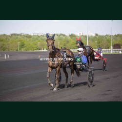 Course 2 14/04/2026 - photos course hippodrome paris vincennes trot