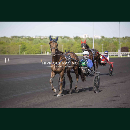 Course 2 14/04/2026 - photos course hippodrome paris vincennes trot