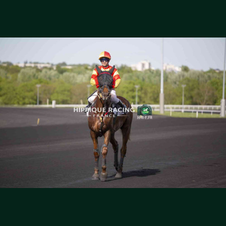 Course 3 14/04/2026 - photos course hippodrome paris vincennes trot