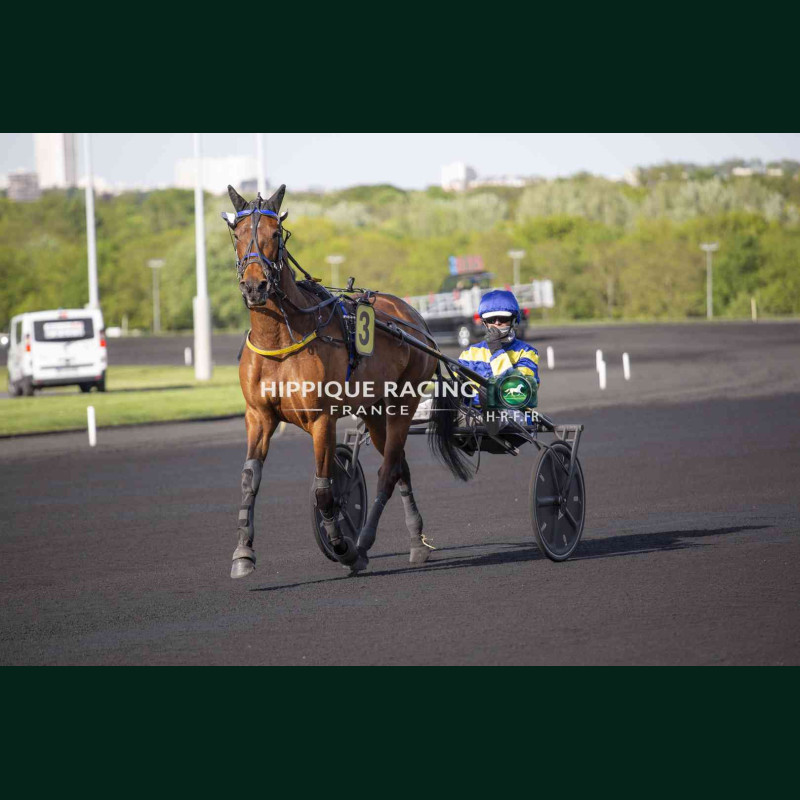Course 4 14/04/2026 - photos course hippodrome paris vincennes trot