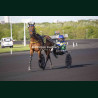 Course 4 14/04/2026 - photos course hippodrome paris vincennes trot