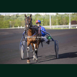 Course 5 14/04/2026 - photos course hippodrome paris vincennes trot
