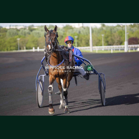 Course 5 14/04/2026 - photos course hippodrome paris vincennes trot