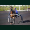 Course 5 14/04/2026 - photos course hippodrome paris vincennes trot