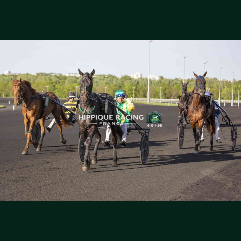 Course 6 14/04/2026 - photos course hippodrome paris vincennes trot