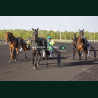 Course 6 14/04/2026 - photos course hippodrome paris vincennes trot